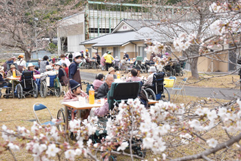 「お花見」